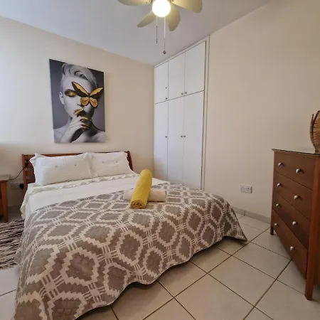 Genista - Irini Gardens *