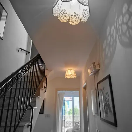 Genista - Irini Gardens Peyia