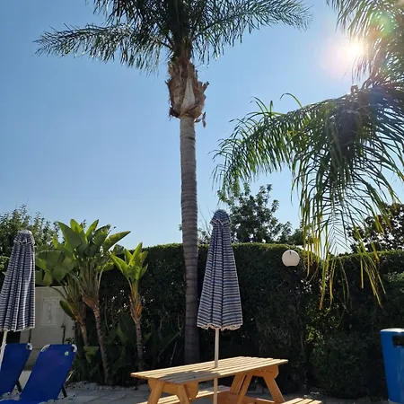 Genista - Irini Gardens Pegeia