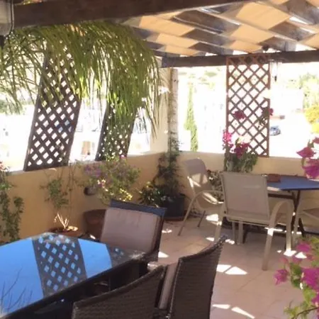 Genista - Irini Gardens * Pegeia