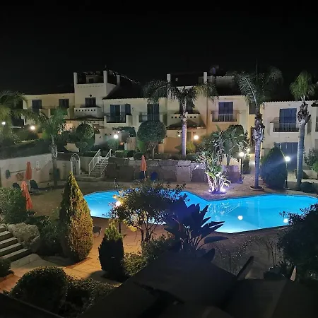 Genista - Irini Gardens *