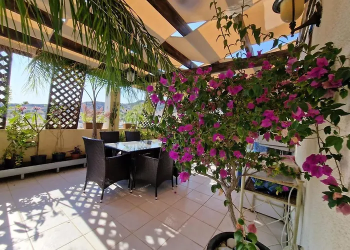 Genista - Irini Gardens Lejlighed Pegeia