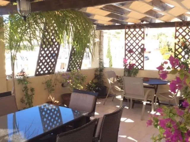 Genista - Irini Gardens * Pegeia