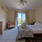 Genista - Irini Gardens Peyia