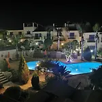 Genista - Irini Gardens *