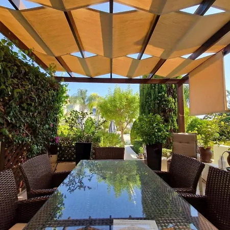 Genista - Irini Gardens