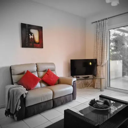 Genista - Irini Gardens *