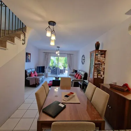 Genista - Irini Gardens