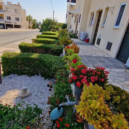 Apartment Genista House