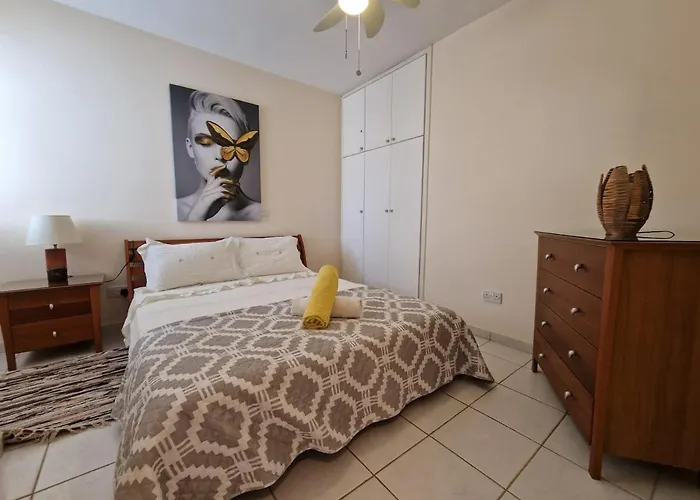 Genista - Irini Gardens *