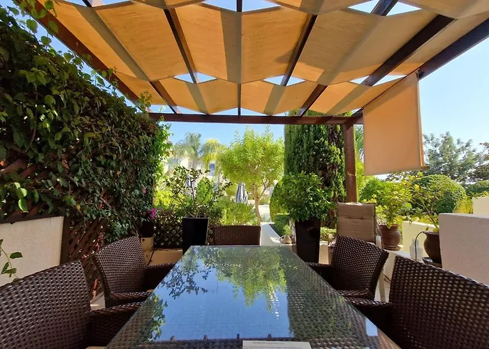 Genista - Irini Gardens