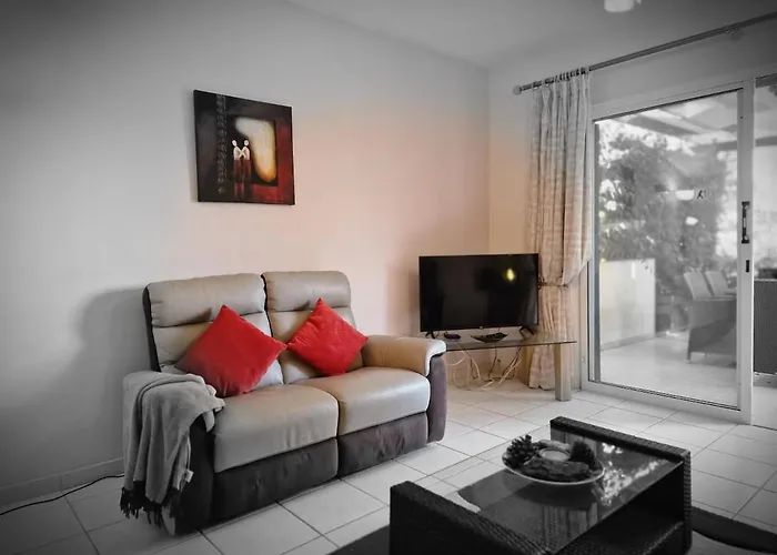 Genista - Irini Gardens *