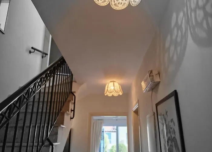 Genista - Irini Gardens פאהיה