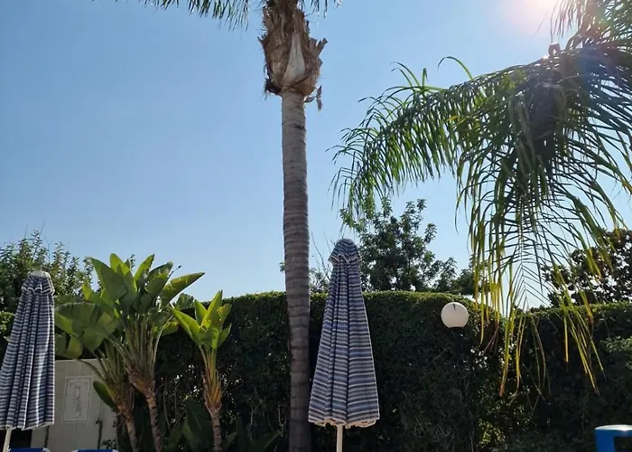 Genista - Irini Gardens פאהיה