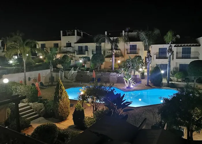 Genista - Irini Gardens *